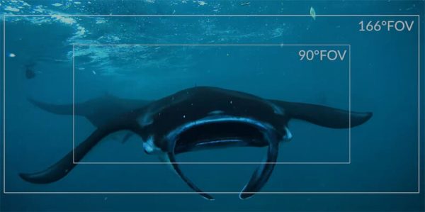 QYSEA Fifish V-EVO Enhanced Full-Area 4K 60FPS AI Underwater Drone - Image 9